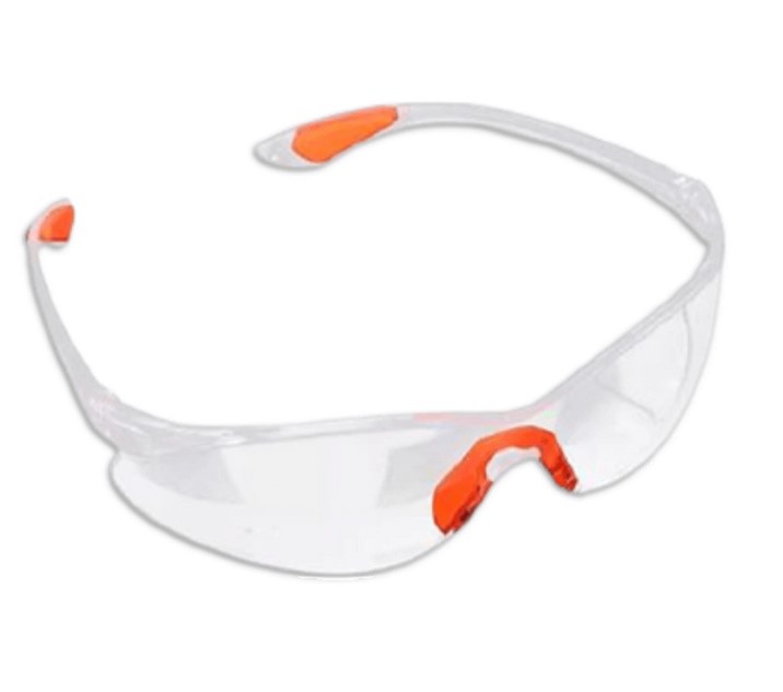 LENTE SEGUR ECONOMICO TRANSP: