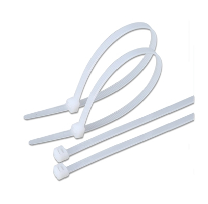 ABRAZ PLASTICA  10" 
