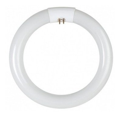 [033908] FLUOR CIRCULAR 22W ECON: