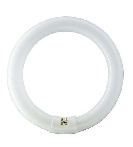[033815] FLUOR CIRCULAR 22W PHILIPS: