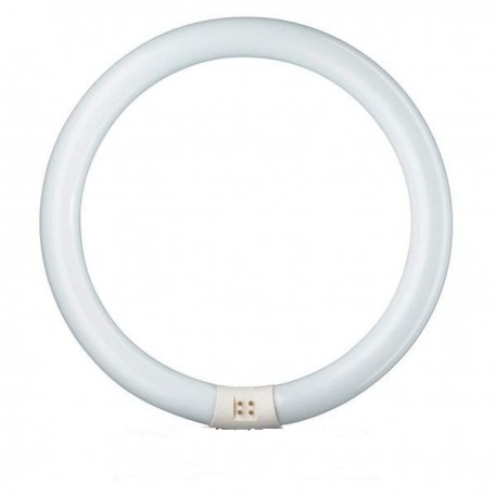 [033909] FLUOR CIRCULAR 32W LUMISTAR|+0