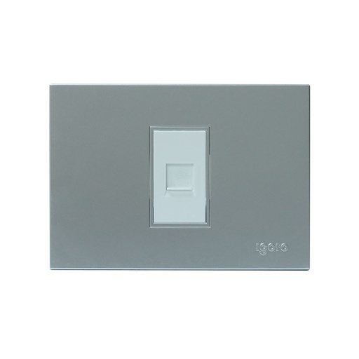 [137235] TOMA P/TELEF EMP IGOTO Z PLATA: